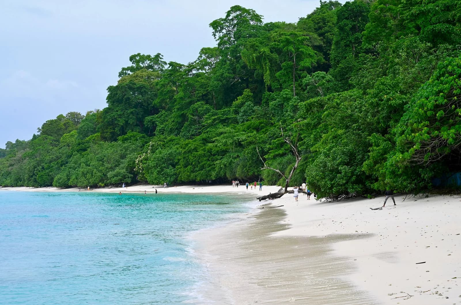 Things to do in Andaman