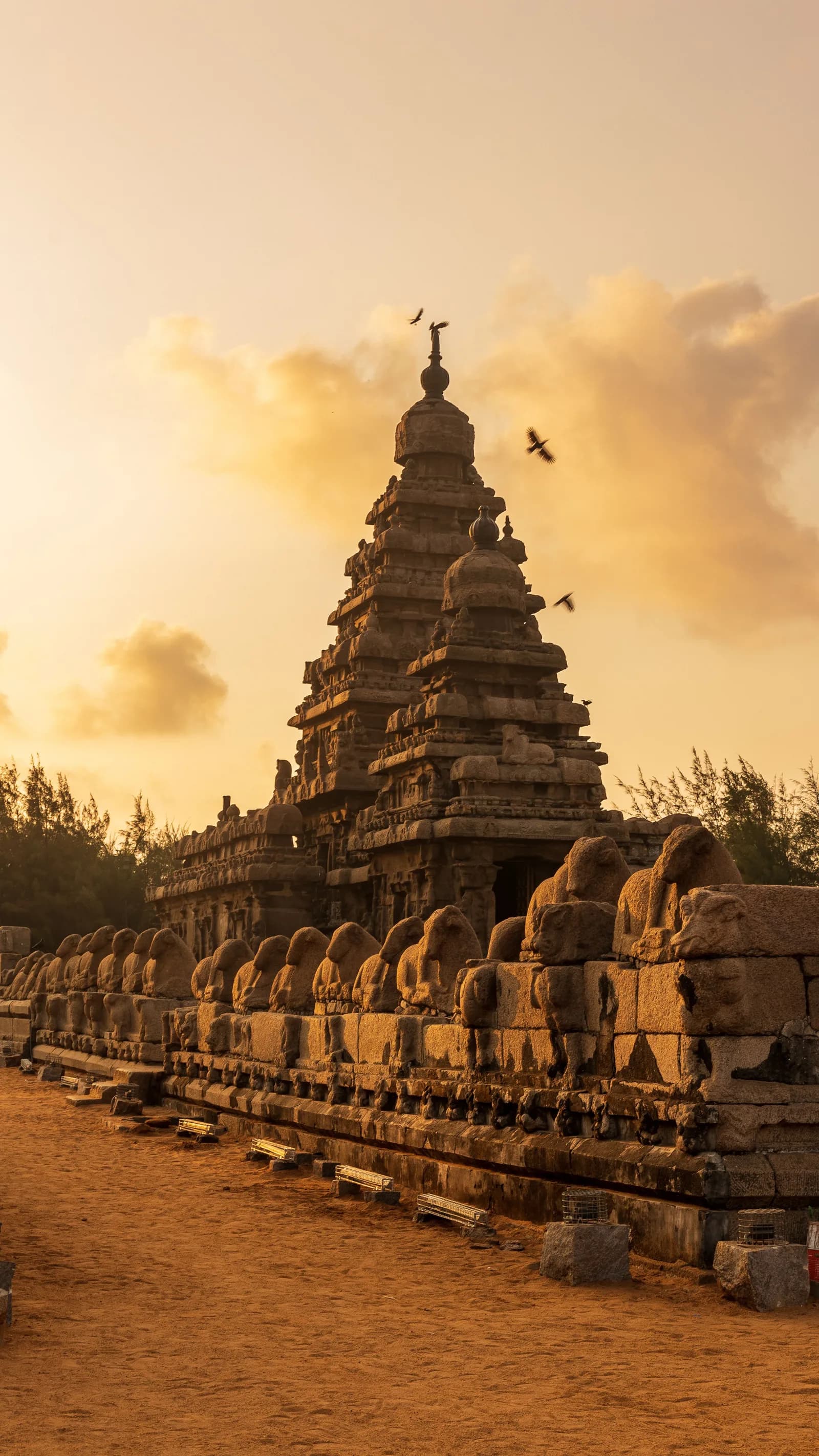Mahabalipuram Day Tour from Chennai