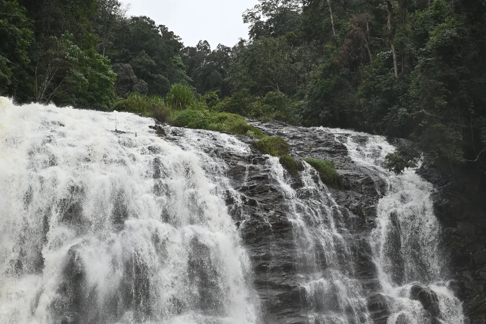 Coorg Full Day Sightseeing Tour