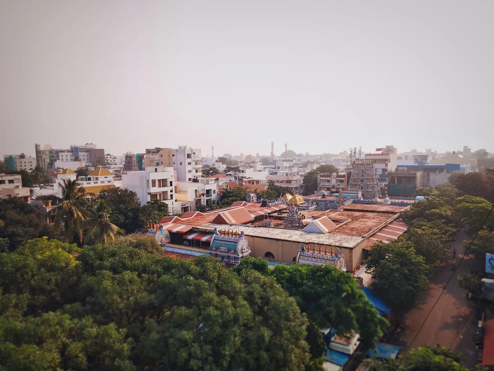 Chennai Cultural Experience