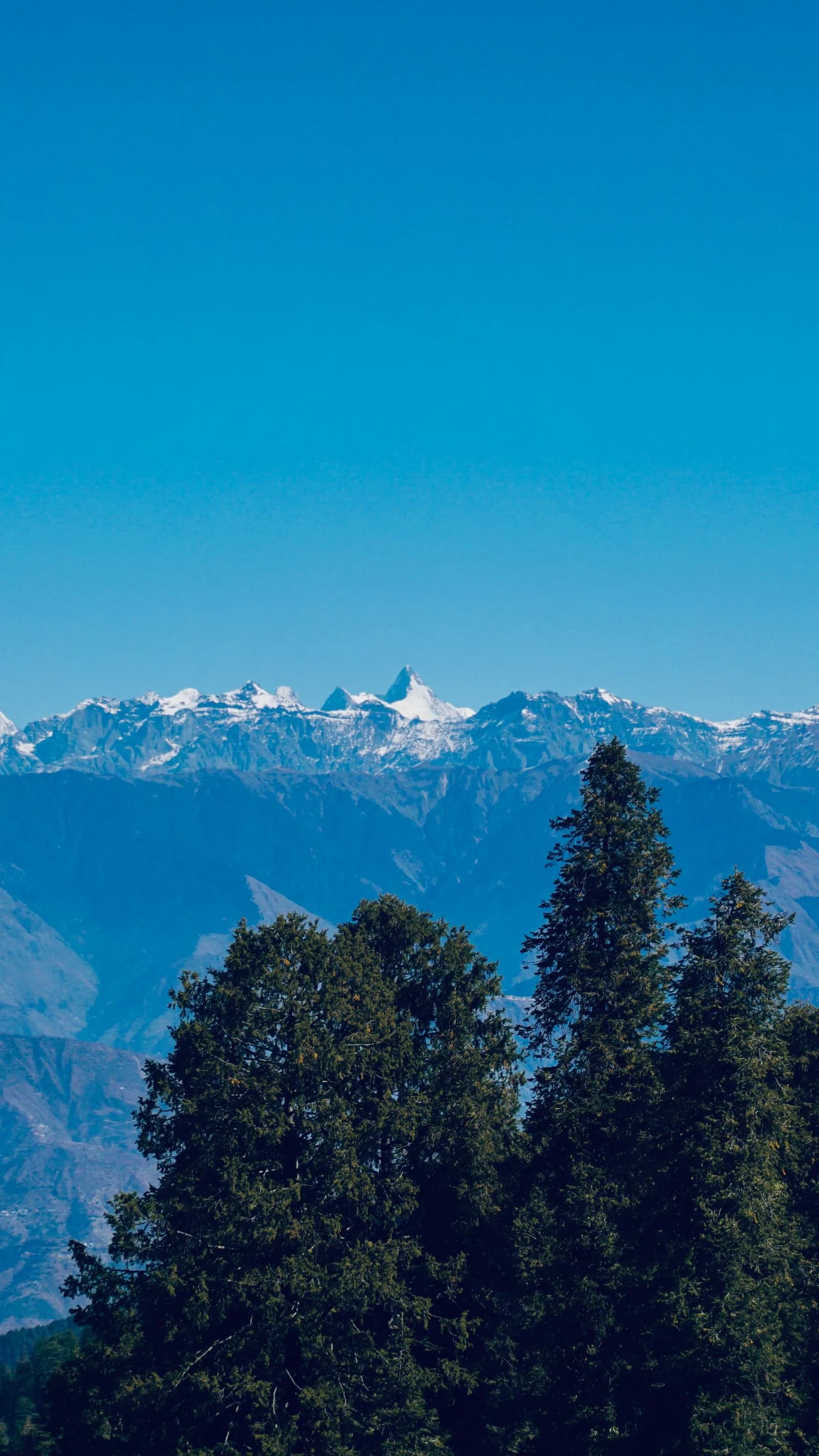 Dayara Bugyal Trek 3N/4D from Dehradun