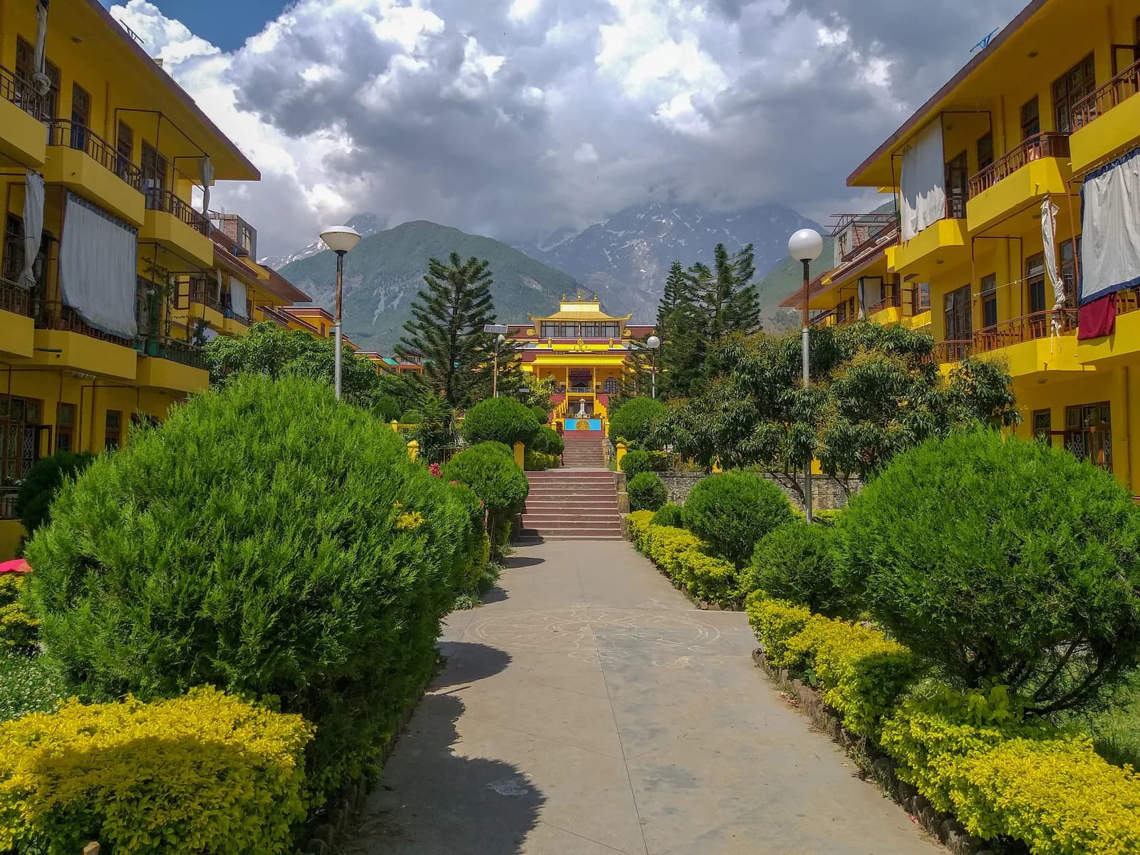 Full Day Sightseeing in Dharamshala & Mcleodganj
