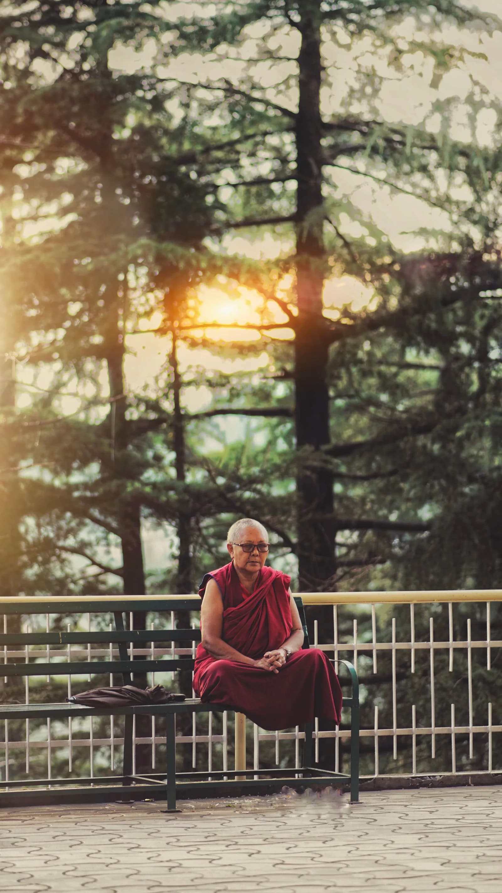 Full Day Sightseeing in Dharamshala & Mcleodganj